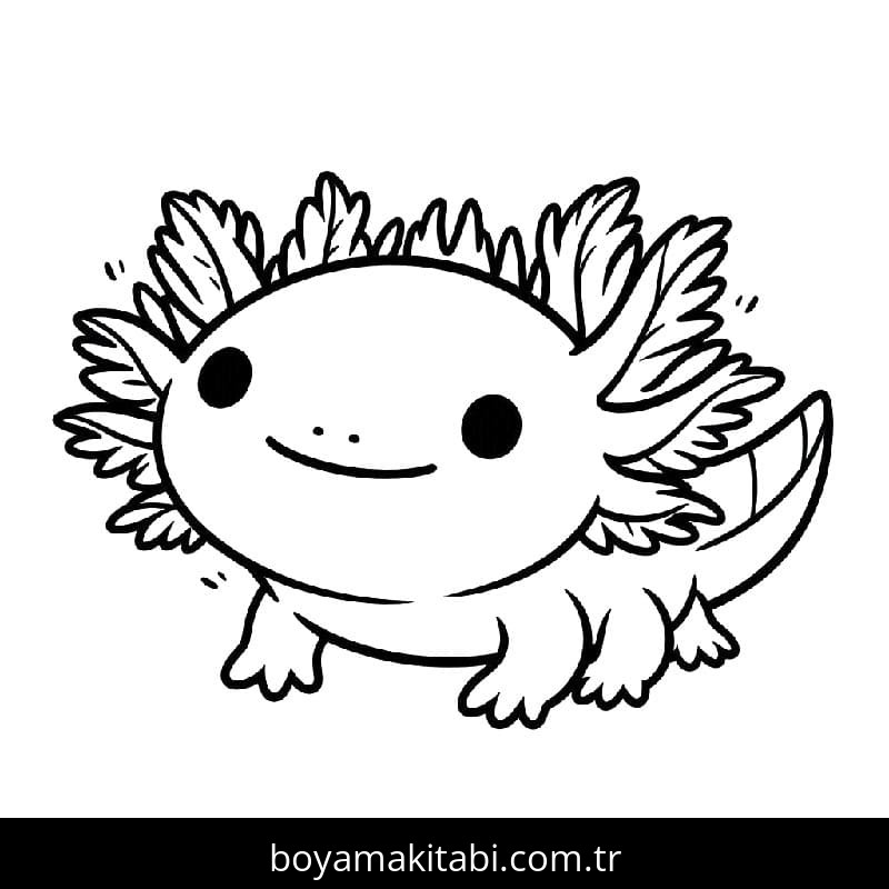 Aksolotl