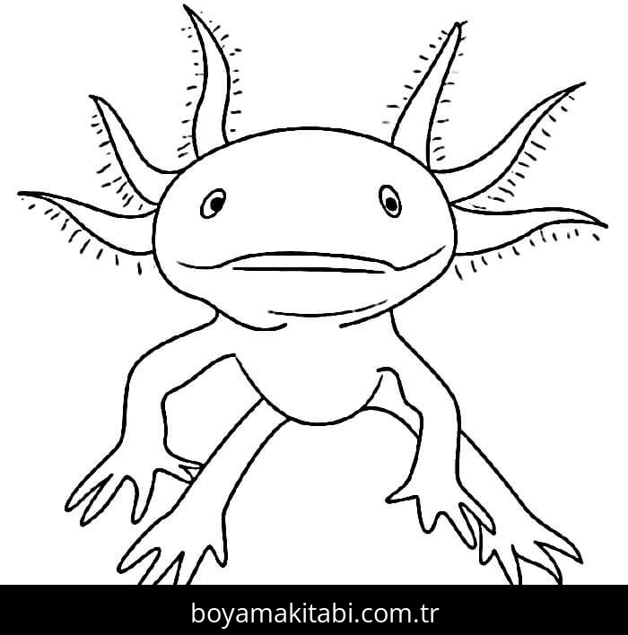 Aksolotl