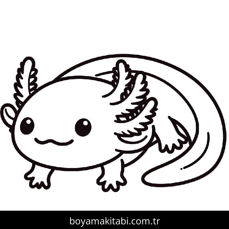 Aksolotl