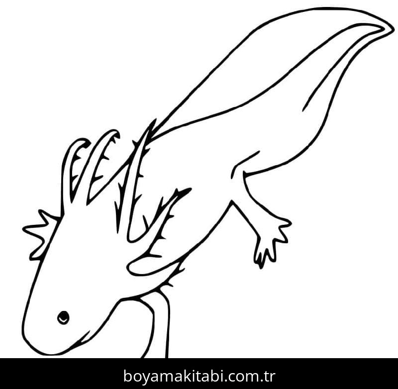 Aksolotl