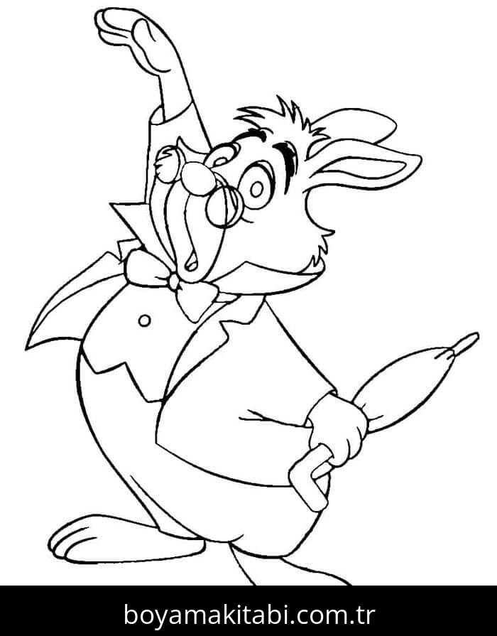 Alis Harikalar Diyarında