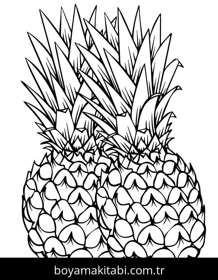 Ananas
