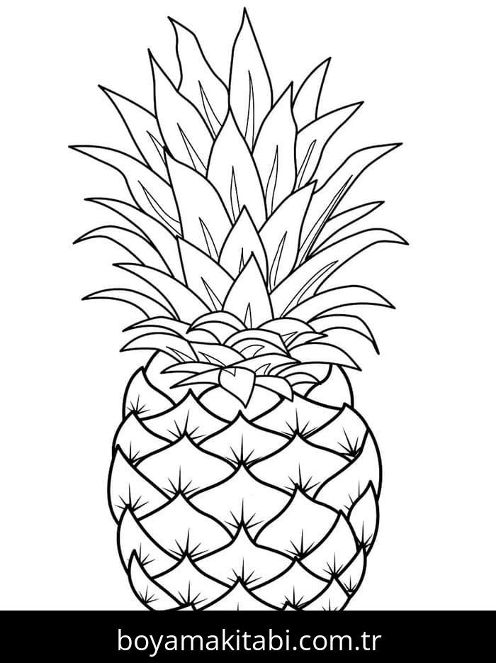 Ananas