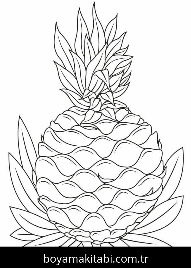 Ananas