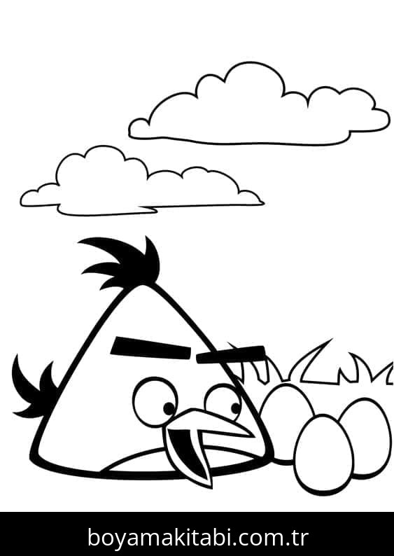Angry Birds