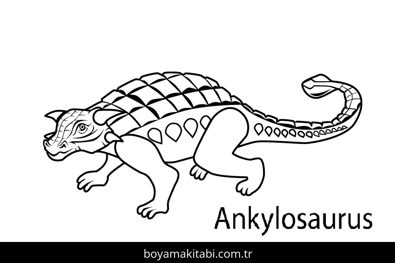 Ankylosaurus Dinazor