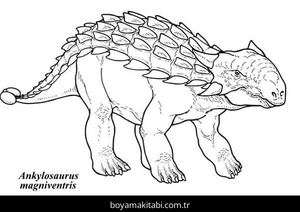 Ankylosaurus Dinazor
