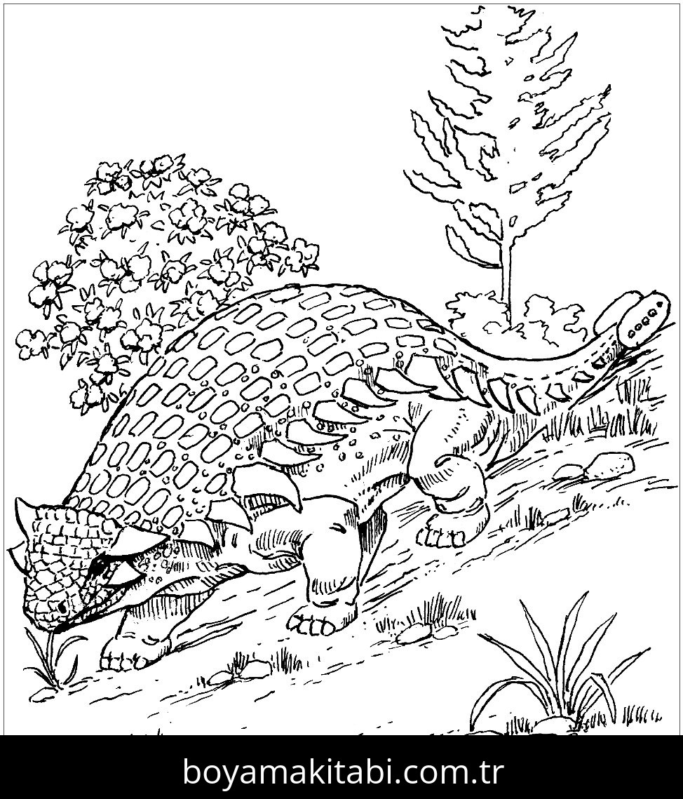 Ankylosaurus Dinazor
