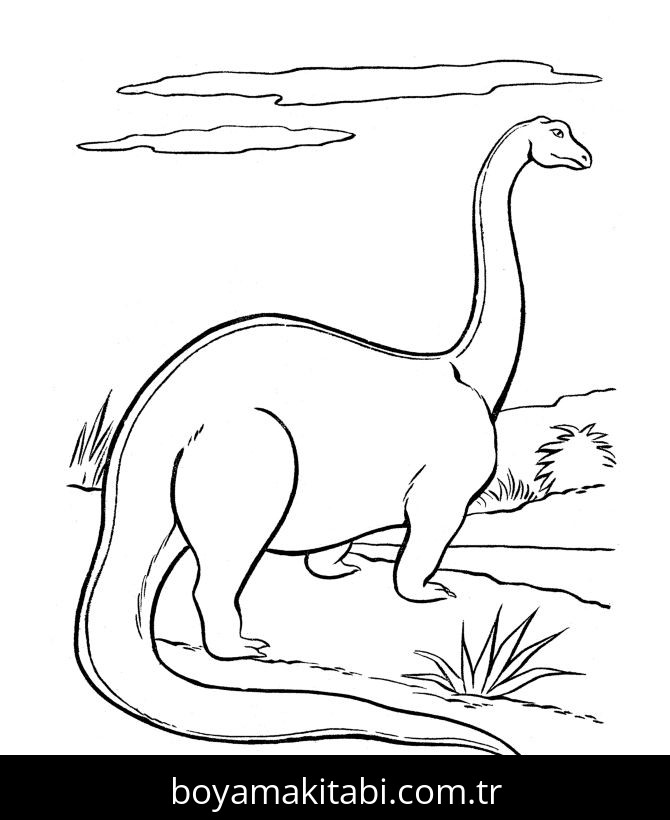 Apatosaurus Dinazor