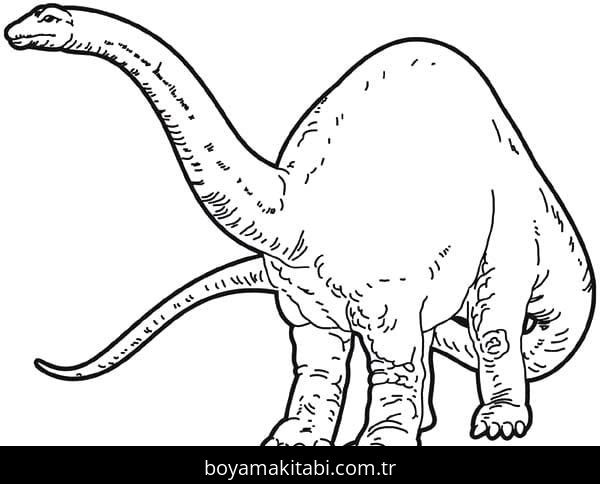 Apatosaurus Dinazor
