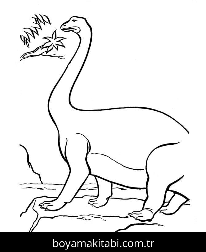 Apatosaurus Dinazor