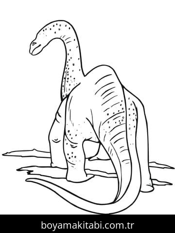 Apatosaurus Dinazor