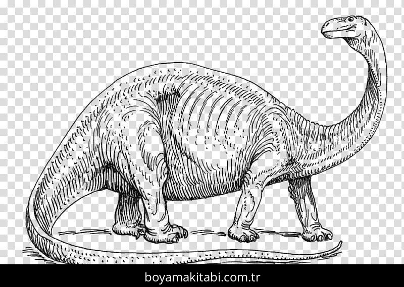 Apatosaurus Dinazor