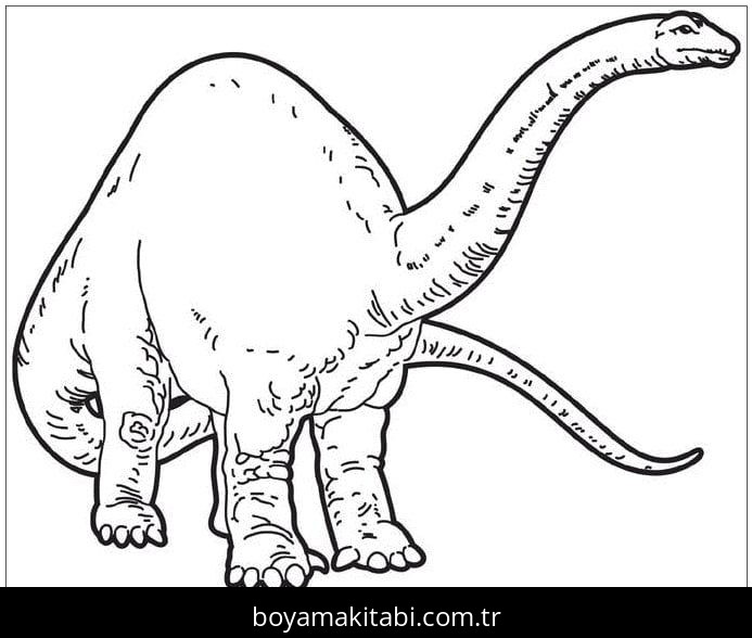 Apatosaurus Dinazor