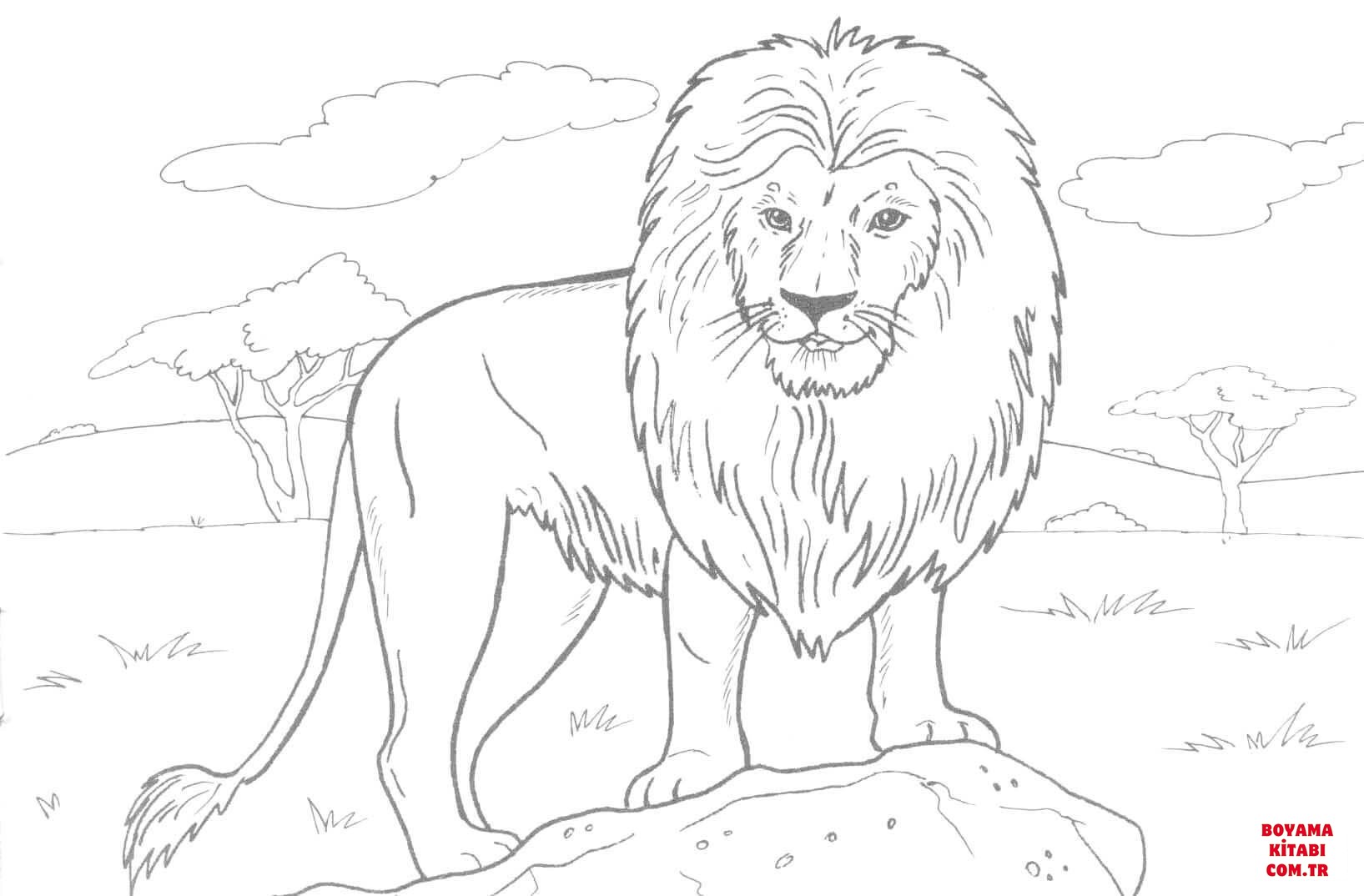 Aslan