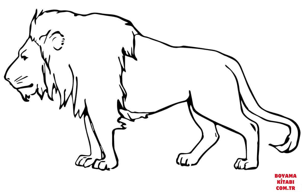 Aslan