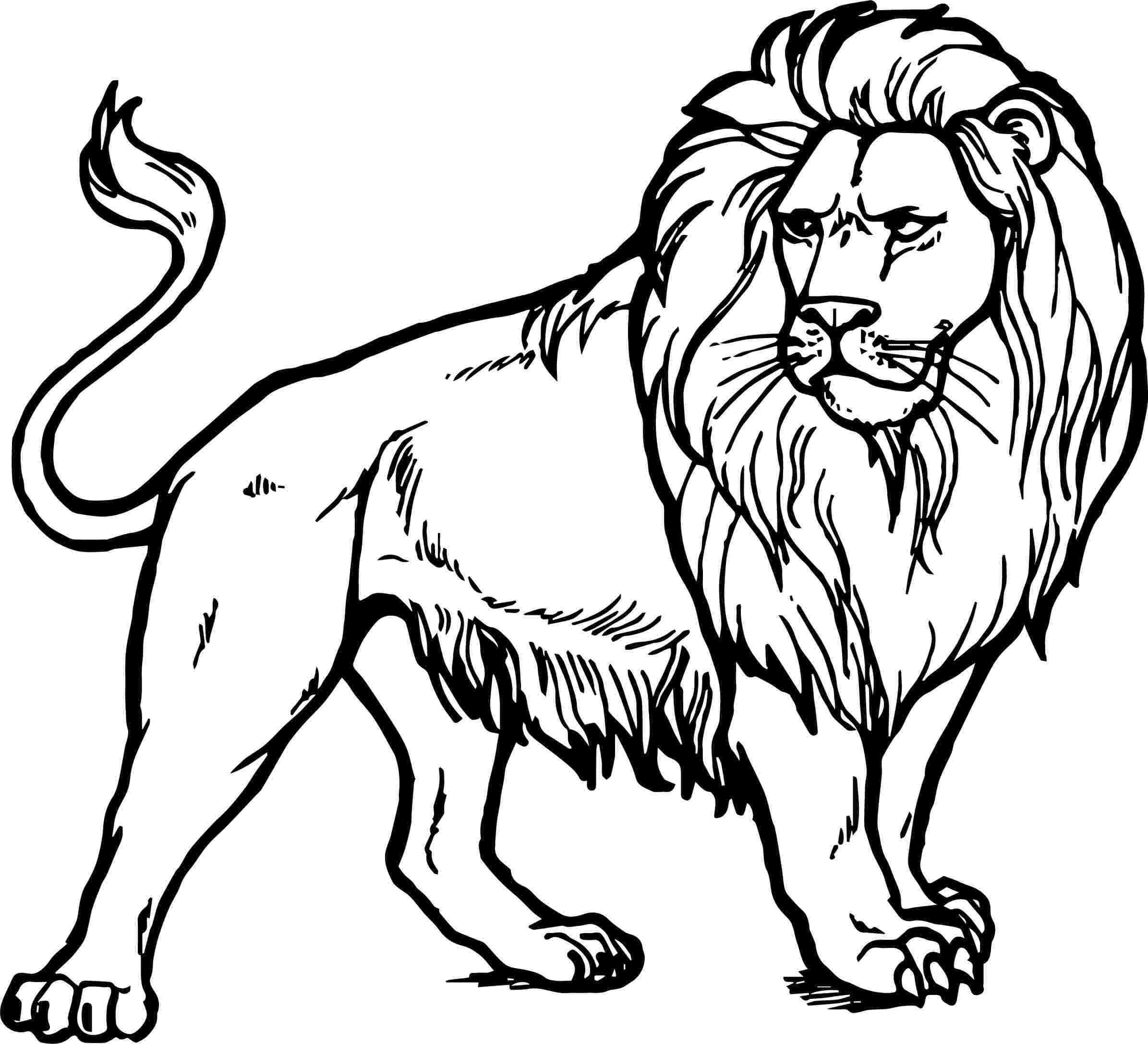 Aslan