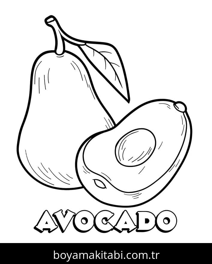 Avokado