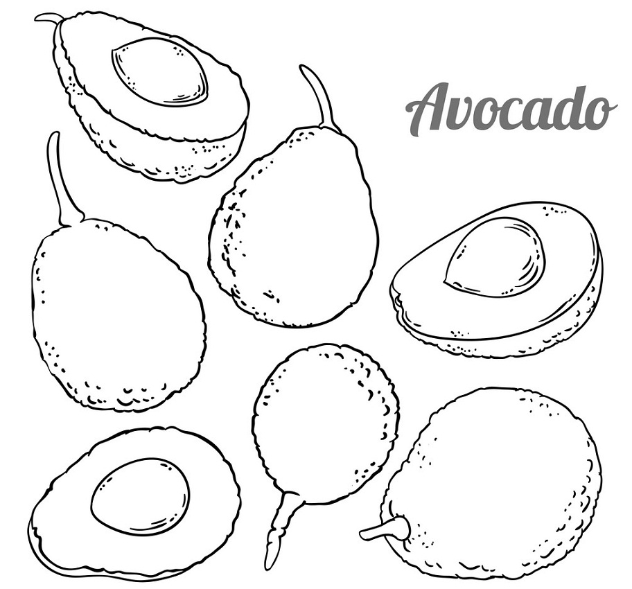 Avokado