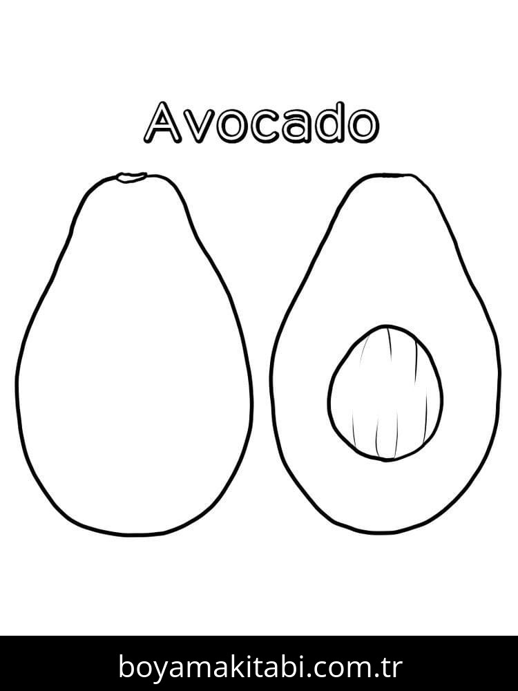 Avokado
