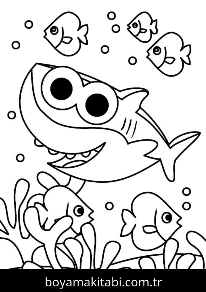 Baby Shark