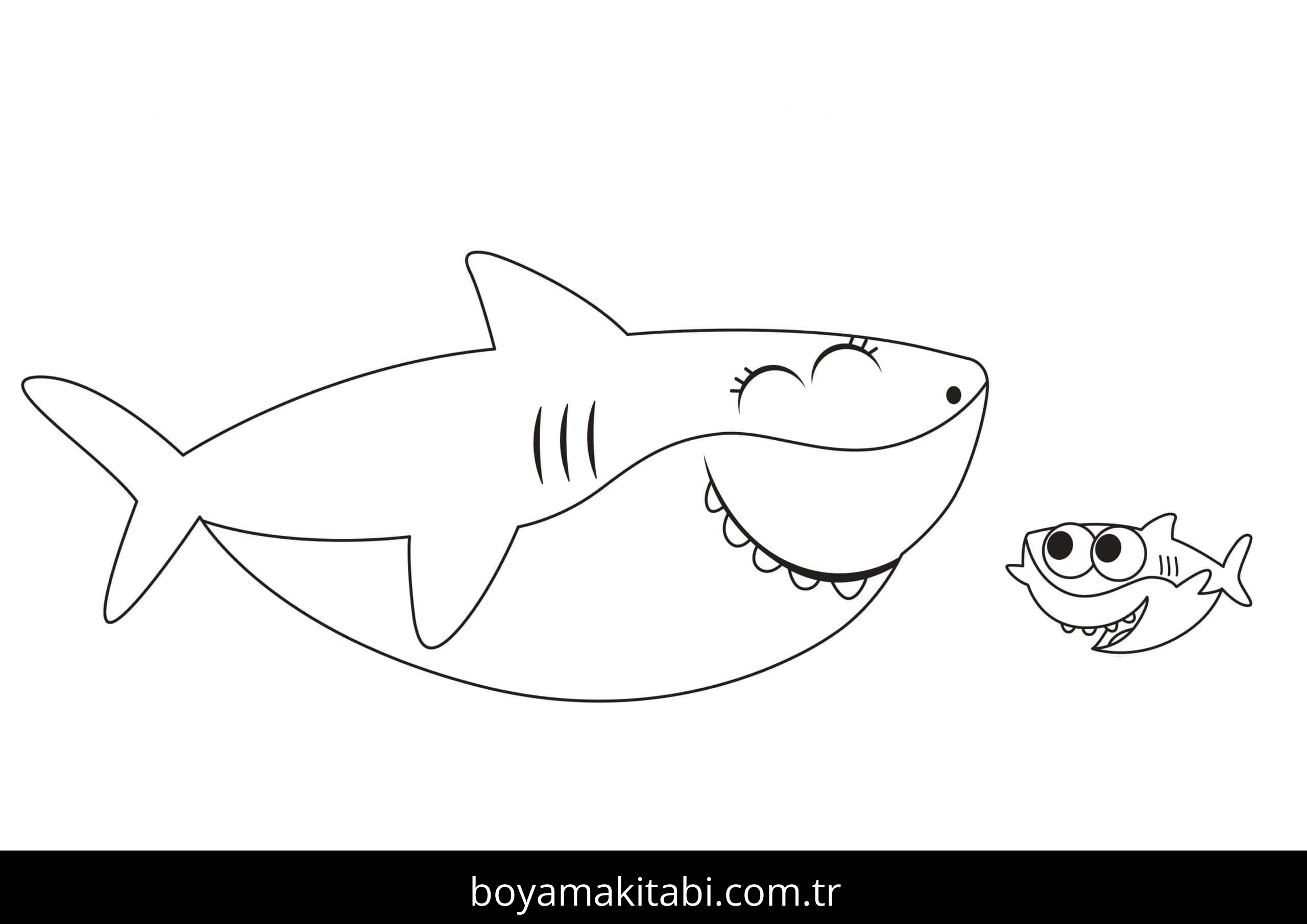 Baby Shark