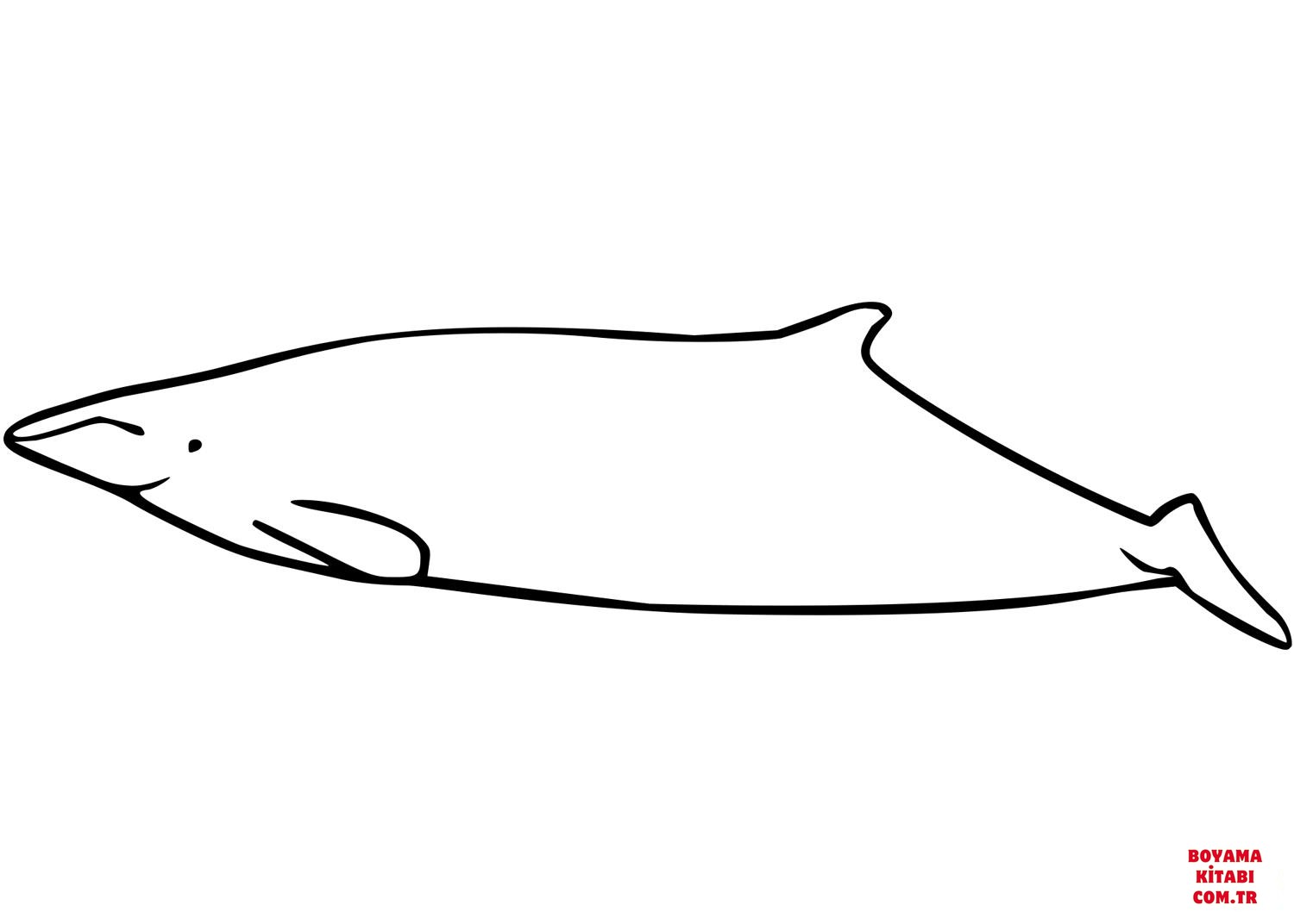 Balina