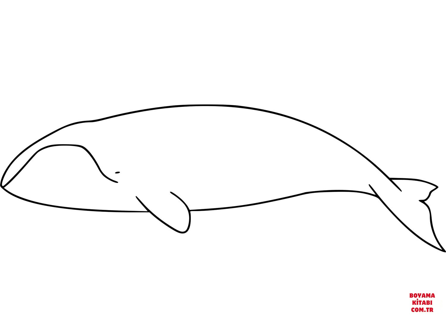 Balina