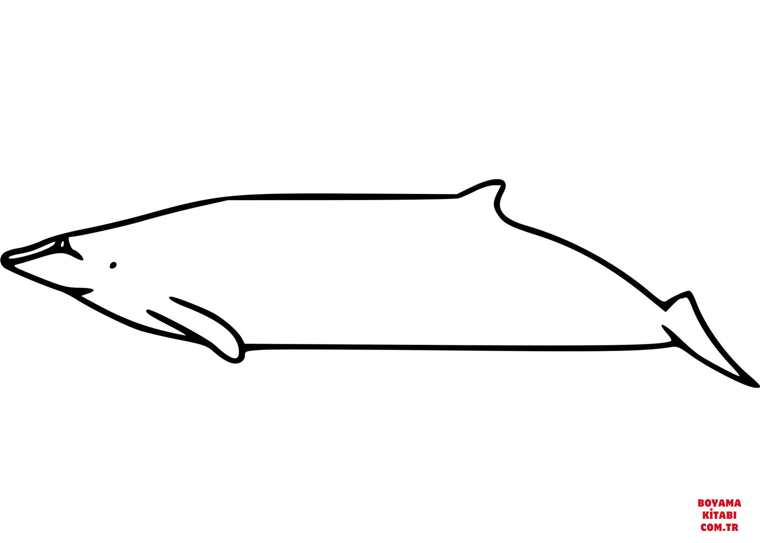 Balina