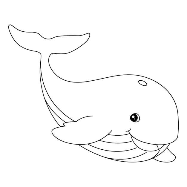Balina