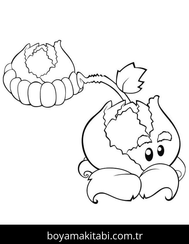 Bitkiler ve Zombiler