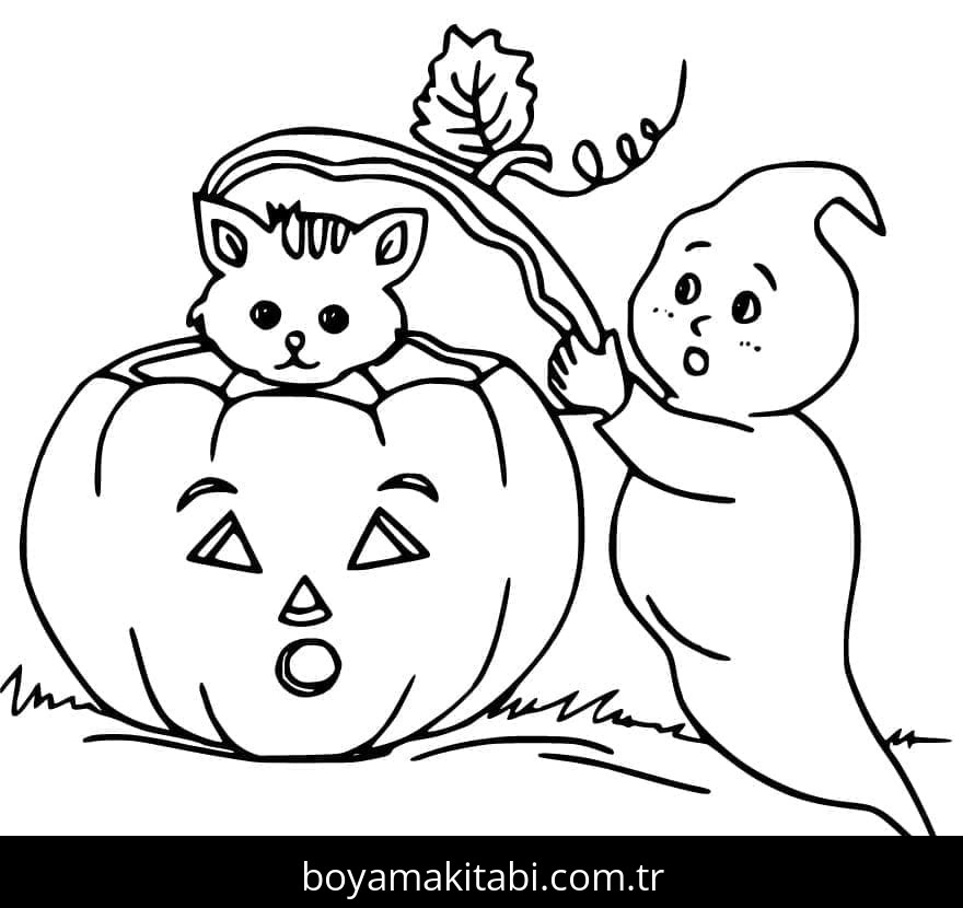 Cadılar Bayramı Kedisi