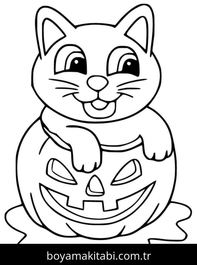 Cadılar Bayramı Kedisi