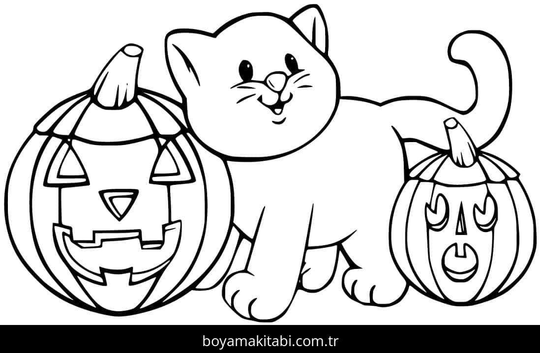 Cadılar Bayramı Kedisi