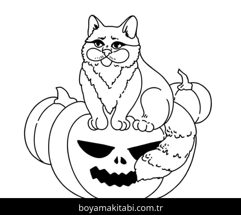 Cadılar Bayramı Kedisi