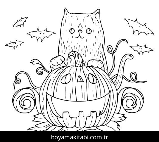 Cadılar Bayramı Kedisi