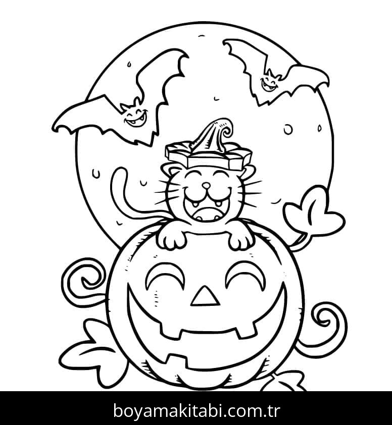 Cadılar Bayramı Kedisi