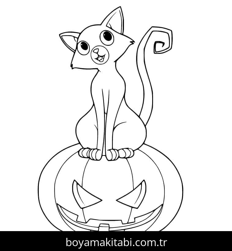 Cadılar Bayramı Kedisi