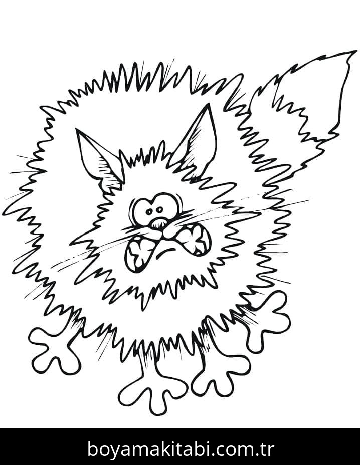 Cadılar Bayramı Kedisi