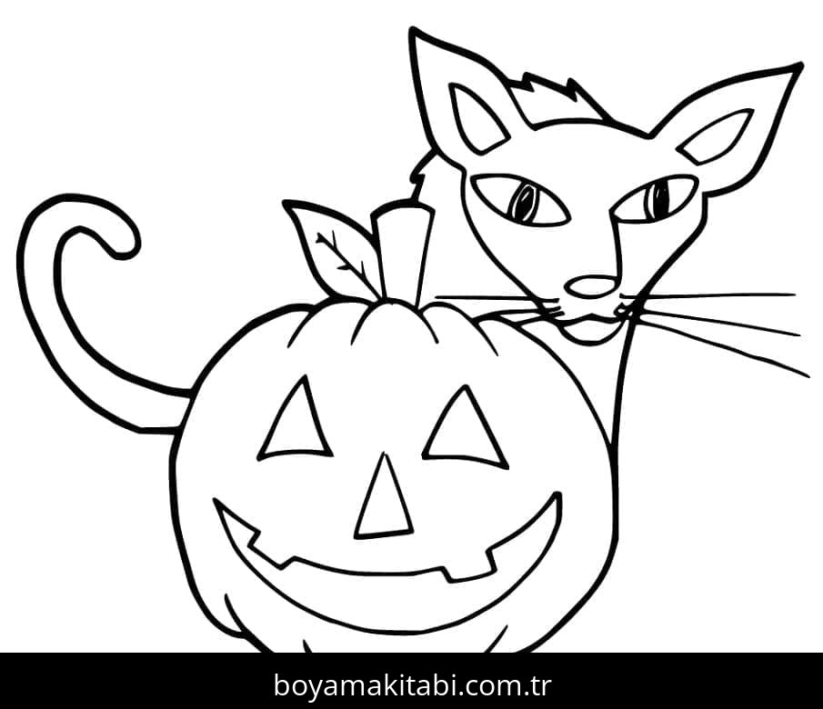 Cadılar Bayramı Kedisi