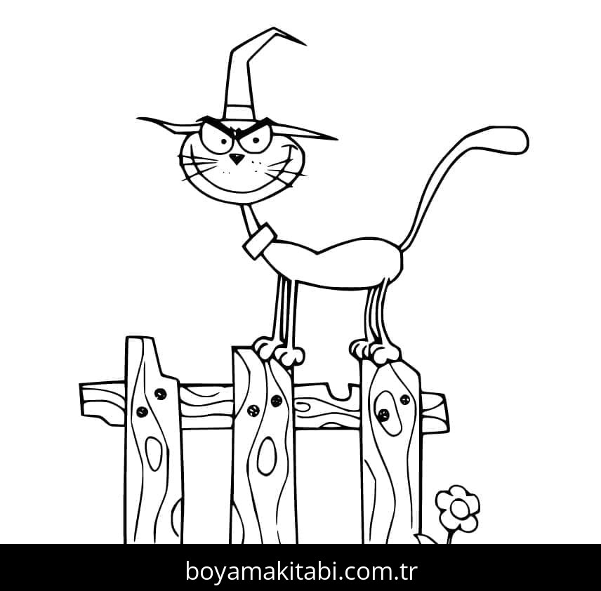 Cadılar Bayramı Kedisi