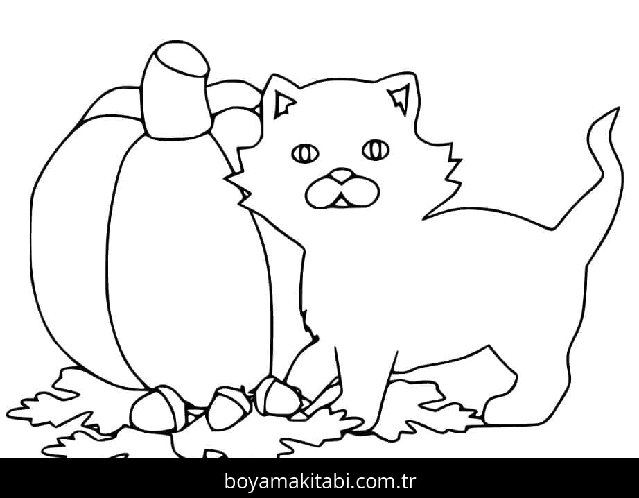 Cadılar Bayramı Kedisi