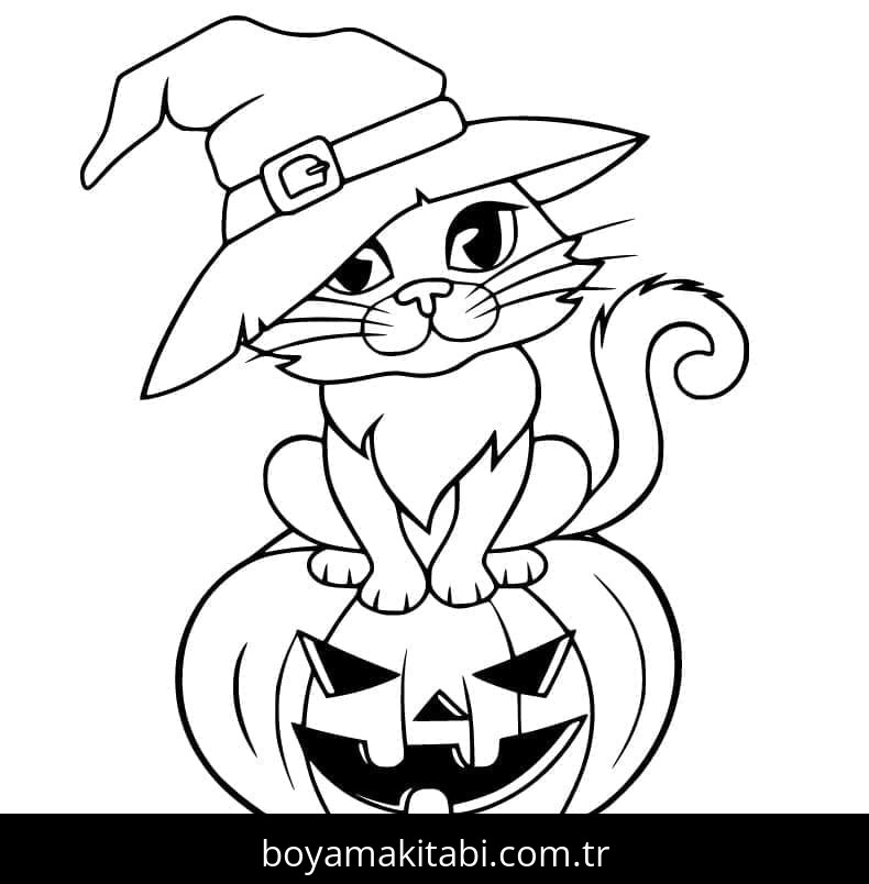 Cadılar Bayramı Kedisi