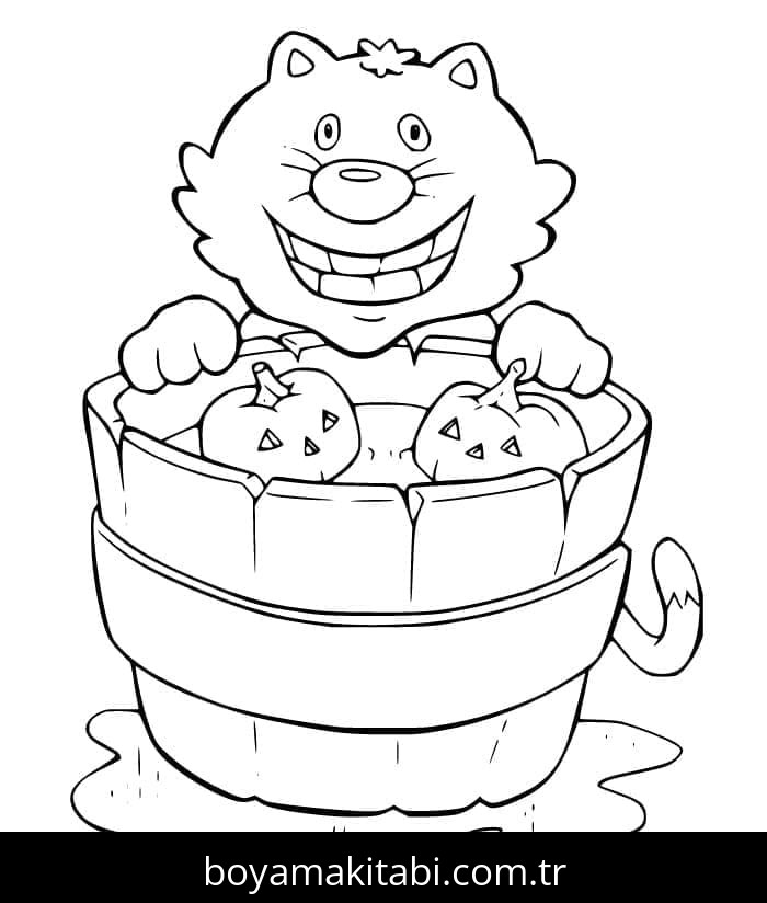 Cadılar Bayramı Kedisi