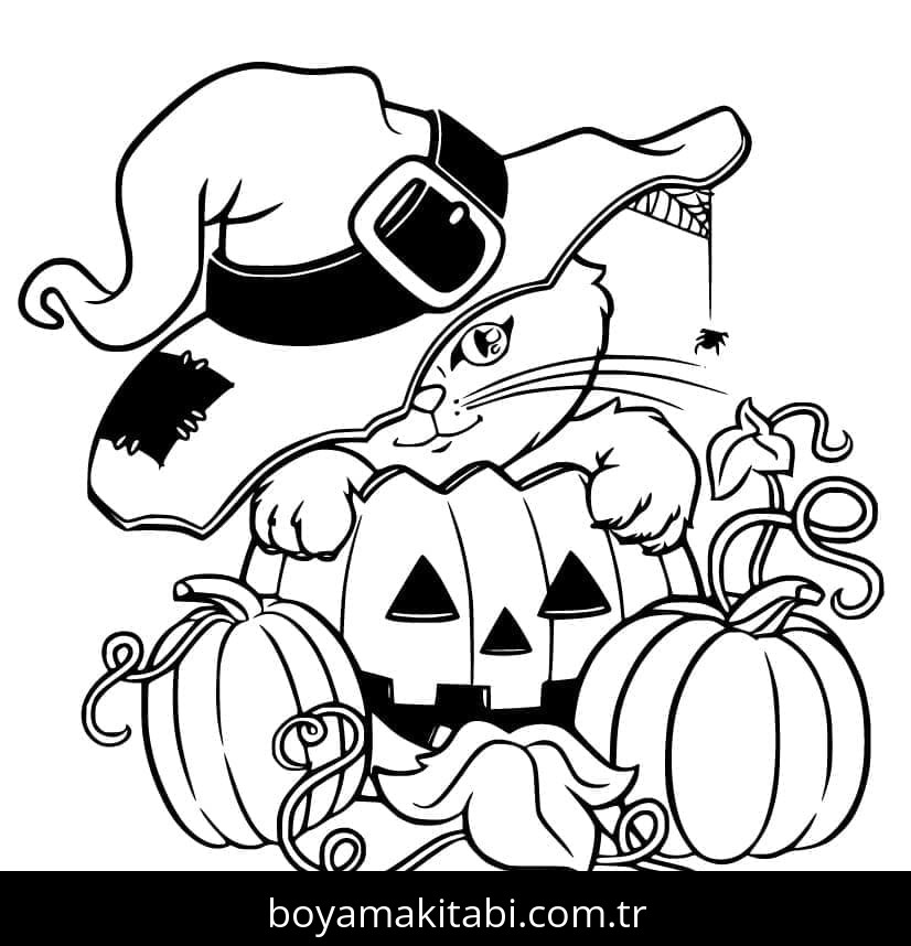 Cadılar Bayramı Kedisi