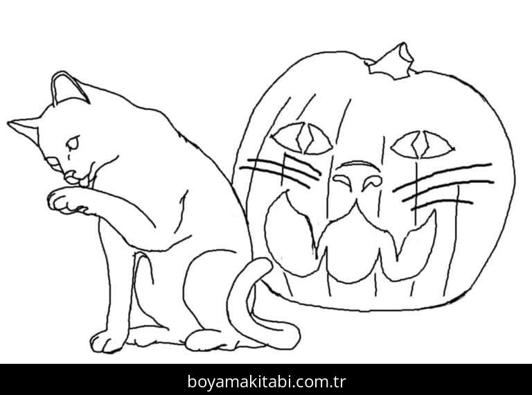 Cadılar Bayramı Kedisi