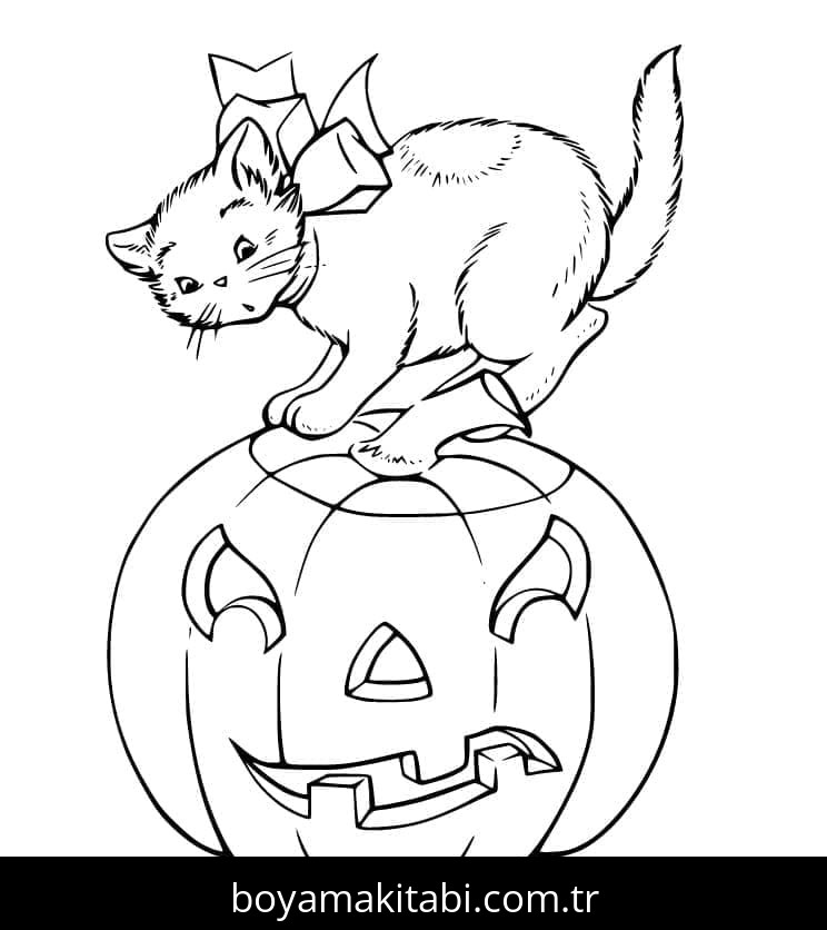 Cadılar Bayramı Kedisi