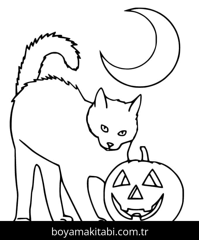 Cadılar Bayramı Kedisi