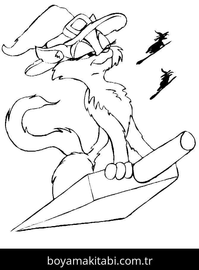 Cadılar Bayramı Kedisi