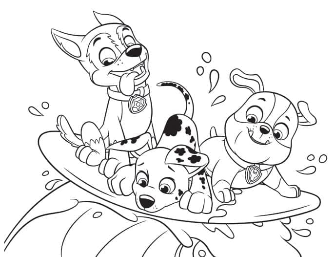 Chase Paw Patrol